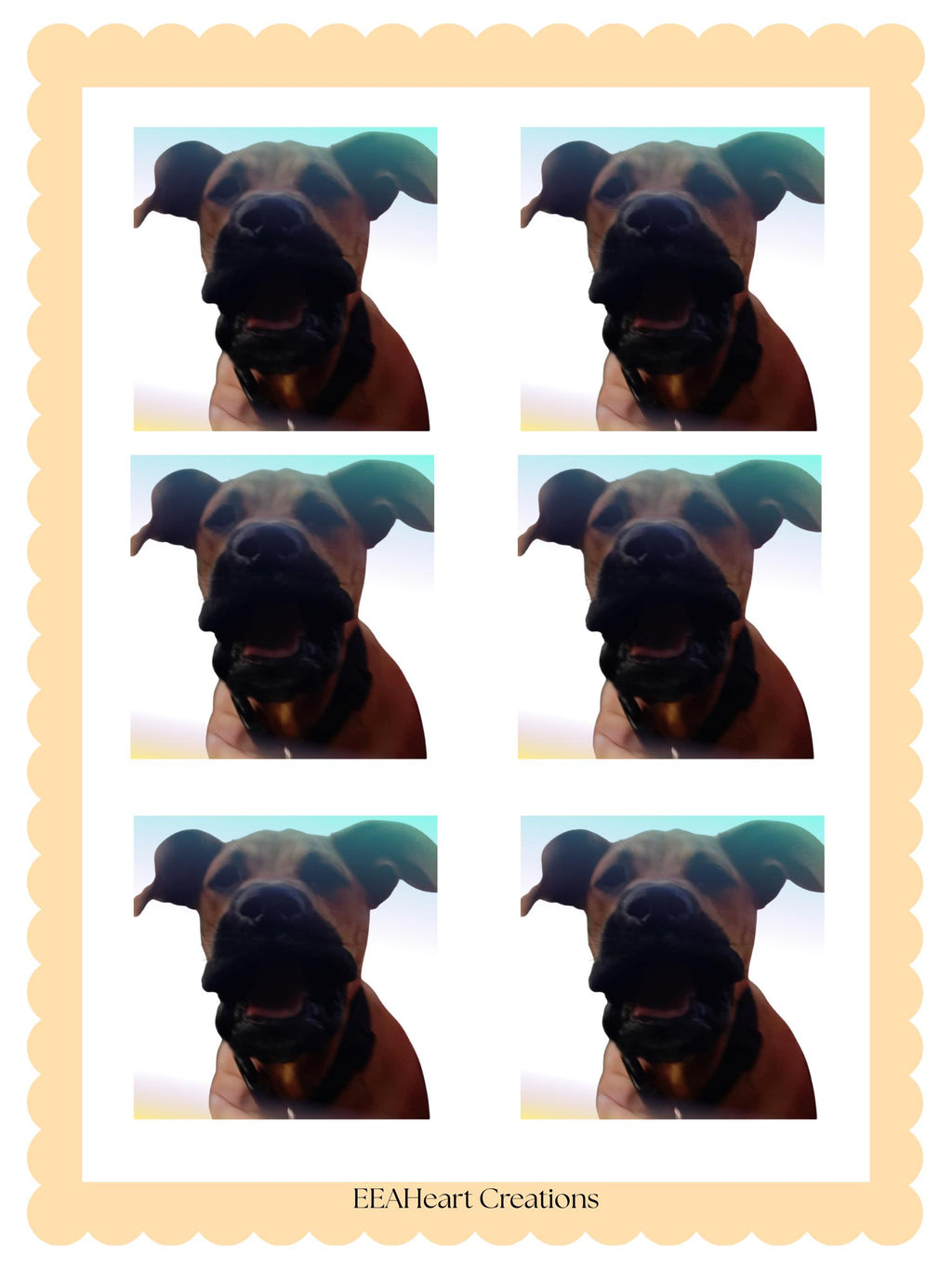 Buford the Unhinged Dog stickers, digital download PNGs, funny dog sticker pack