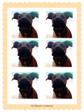 Buford the Unhinged Dog stickers, digital download PNGs, funny dog sticker pack