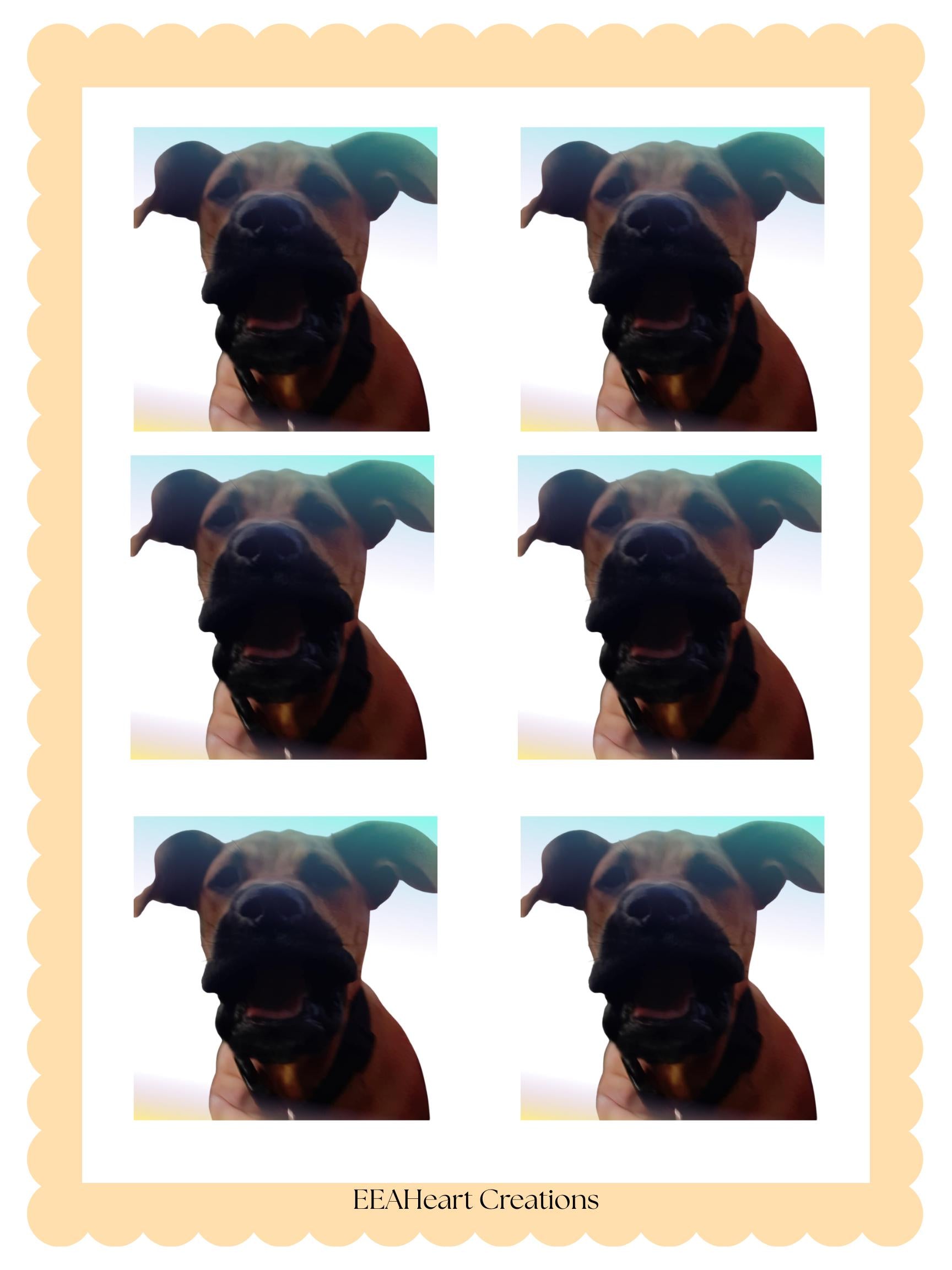 Buford the Unhinged Dog stickers, digital download PNGs, funny dog sticker pack