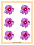 Pink flower stickers digital download, watercolor floral clipart set, printable planner decals