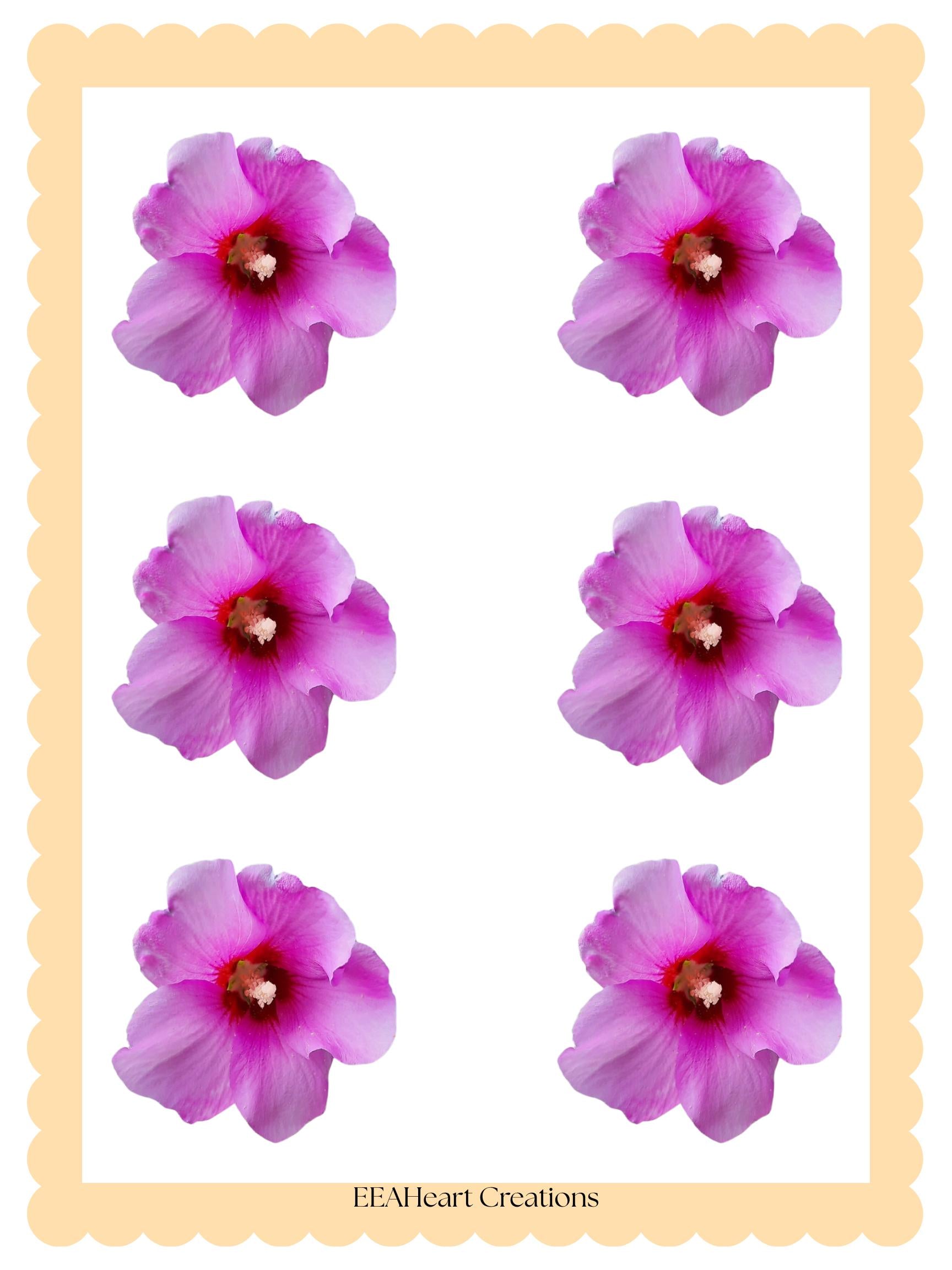 Pink flower stickers digital download, watercolor floral clipart set, printable planner decals