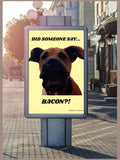 Buford the Dog - Bacon! Poster